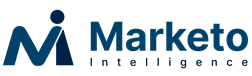 Marketo Intelligence